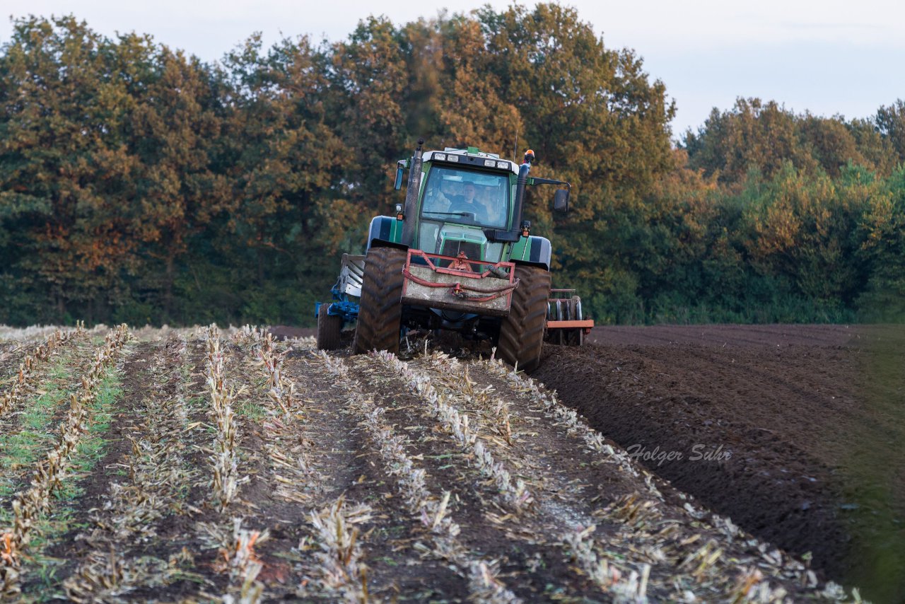 Bild 23 - Maisernte am 11.10.12